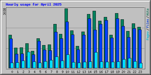 Hourly usage for April 2025