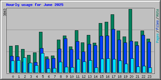 Hourly usage for June 2025