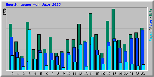 Hourly usage for July 2025
