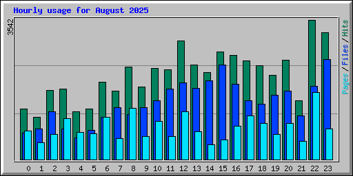 Hourly usage for August 2025