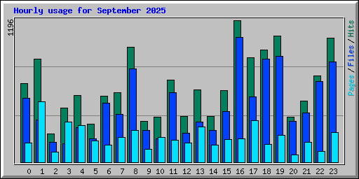 Hourly usage for September 2025