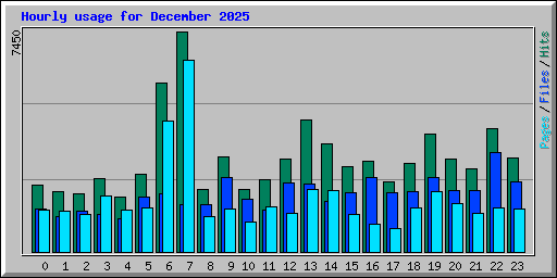 Hourly usage for December 2025