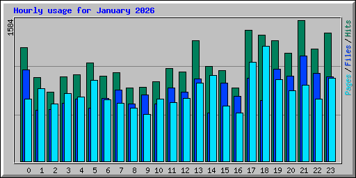 Hourly usage for January 2026